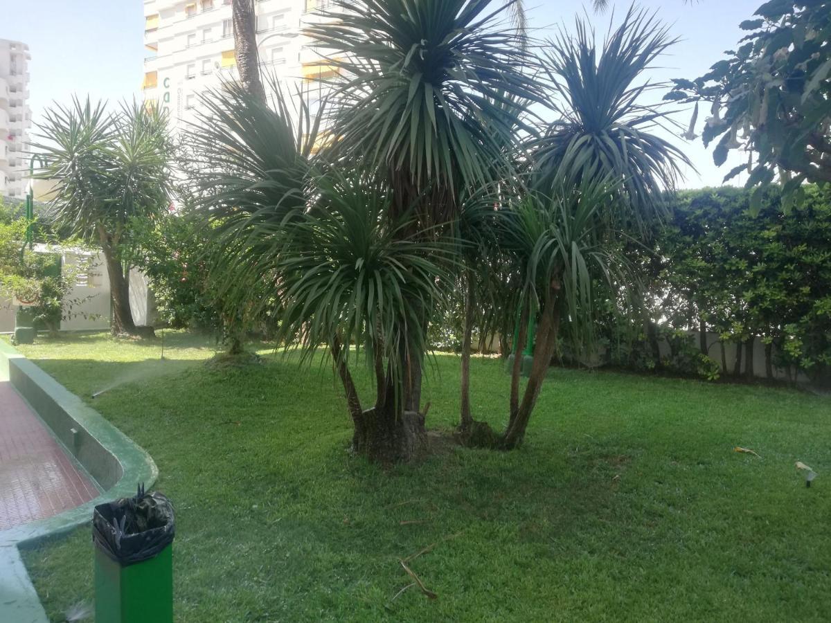 Cancun III Solo Familias Serviplaya Gandía Dış mekan fotoğraf